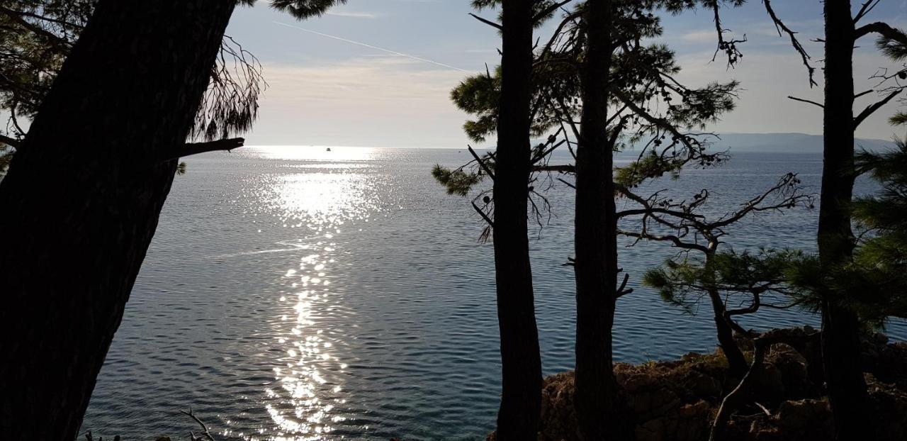 Studio - Sea View * Makarska